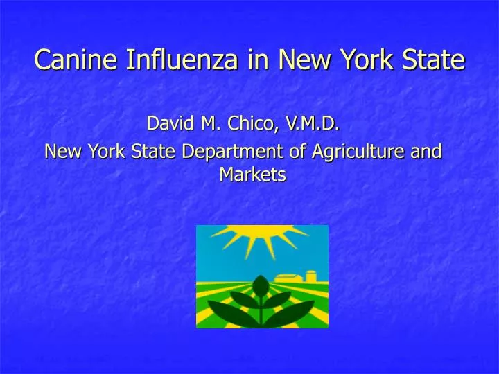 canine influenza in new york state