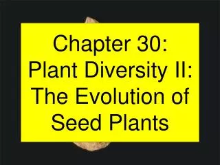 Chapter 30: Plant Diversity II: The Evolution of Seed Plants
