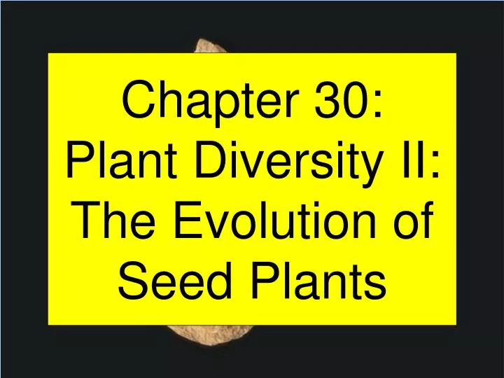 chapter 30 plant diversity ii the evolution of seed plants