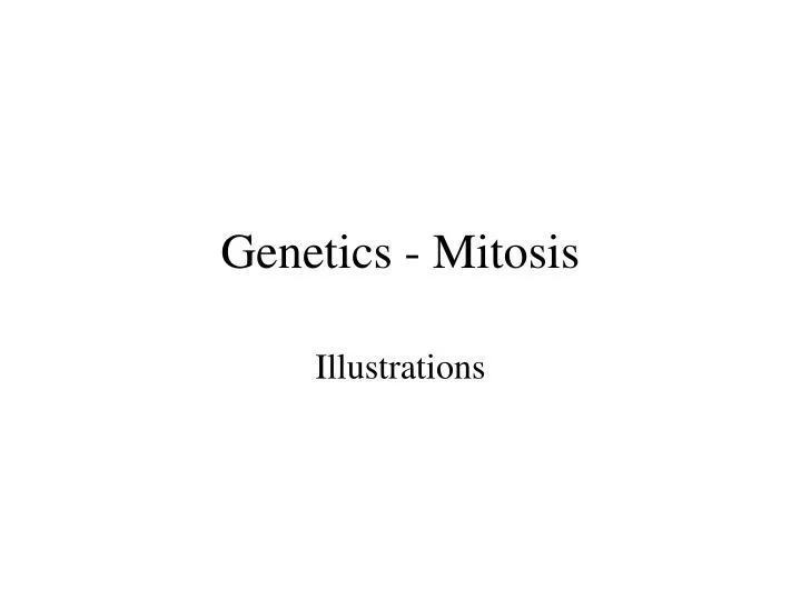 genetics mitosis