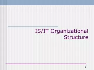 IS/IT Organizational Structure