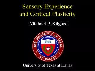 Sensory Experience and Cortical Plasticity