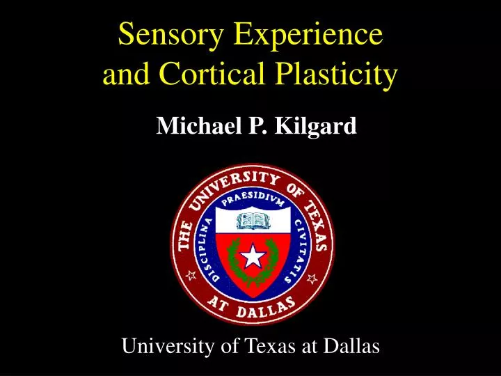 sensory experience and cortical plasticity