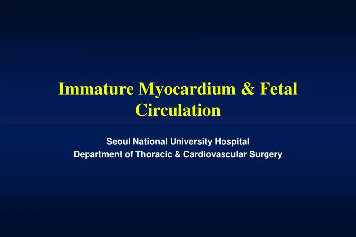 immature myocardium fetal circulation