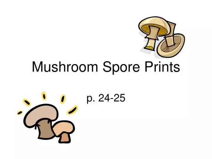 mushroom spore prints