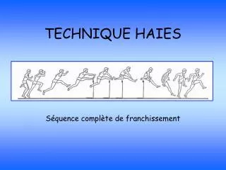 TECHNIQUE HAIES