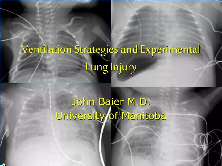 ventilation strategies and experimental lung injury
