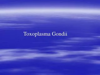Toxoplasma Gondii