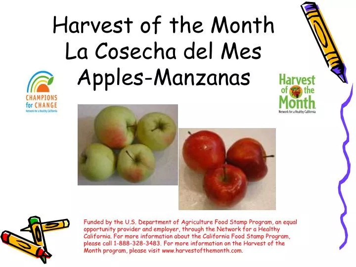 harvest of the month la cosecha del mes apples manzanas