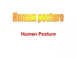 Human Posture