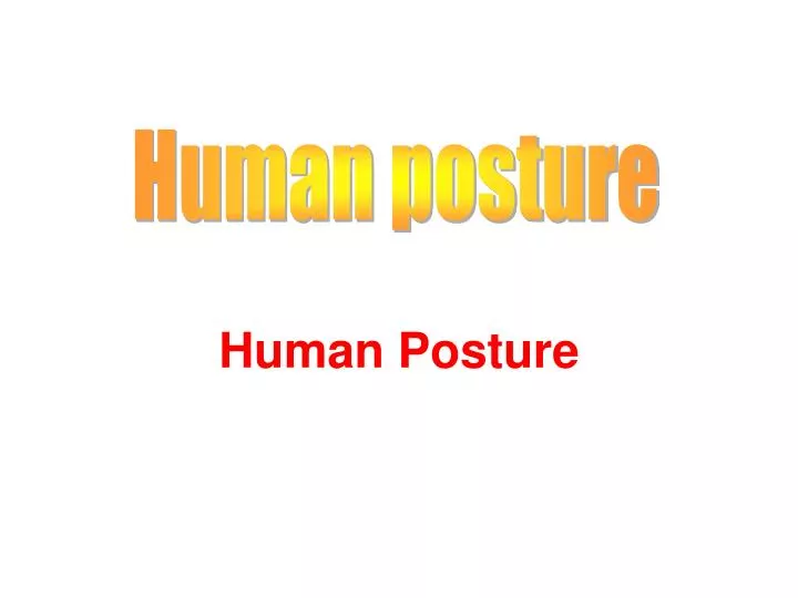 human posture