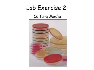 Lab Exercise 2