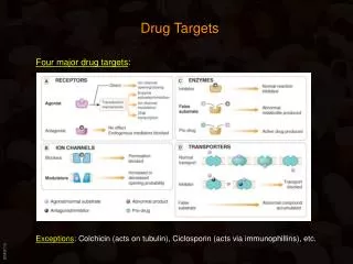 Drug Targets