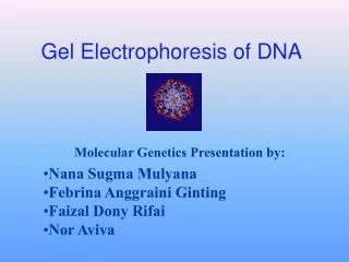 Gel Electrophoresis of DNA