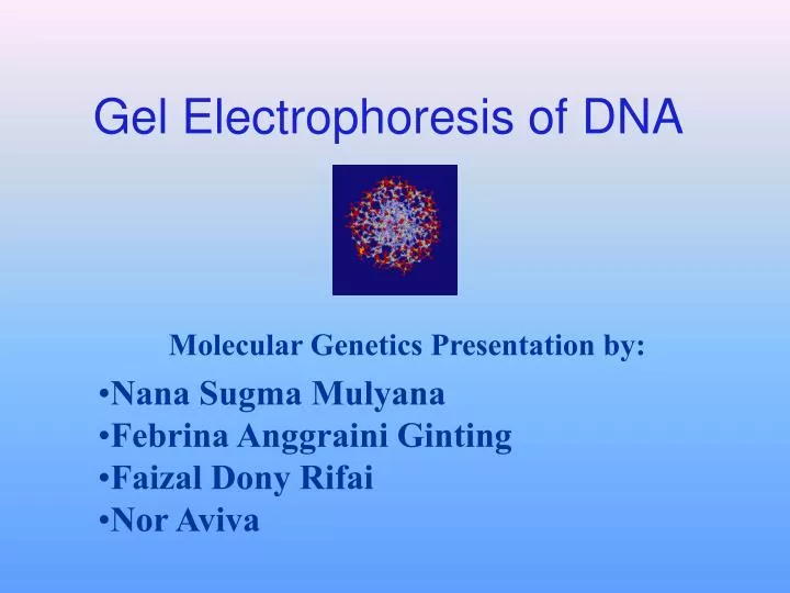 gel electrophoresis of dna