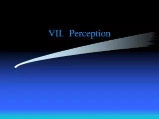VII. Perception