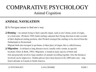 COMPARATIVE PSYCHOLOGY Animal Cognition