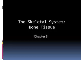 The Skeletal System: Bone Tissue