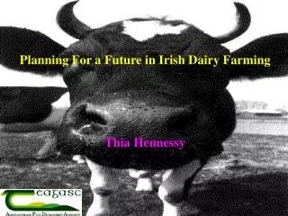 Planning For a Future in Irish Dairy Farming Thia Hennessy