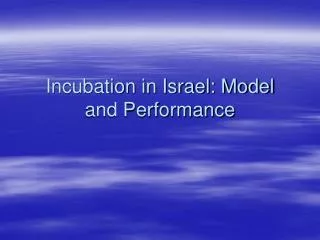 Incubation in Israel: Model and Performance