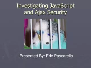 Investigating JavaScript and Ajax Security