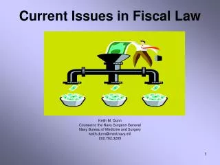 Current Issues in Fiscal Law