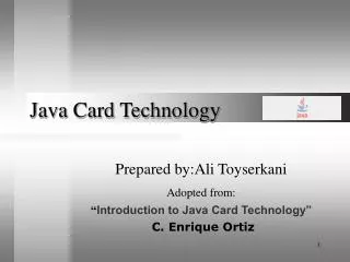 Java Card Technology
