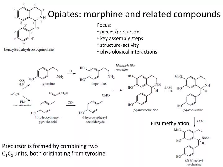 opiates morphine and related compounds