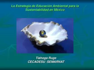 La Estrategia de Educación Ambiental para la Sustentabilidad en México
