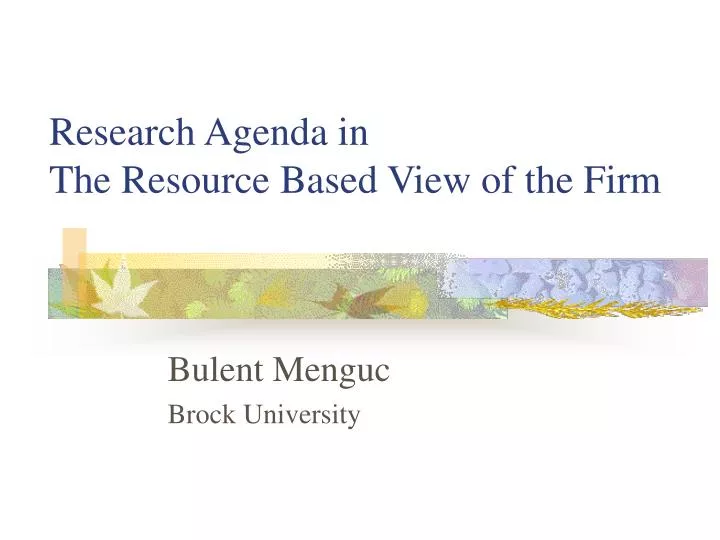 research agenda in the resource based view of the firm