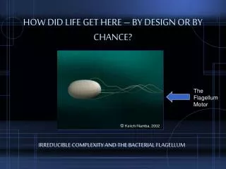 HOW DID LIFE GET HERE – BY DESIGN OR BY CHANCE?
