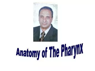 Anatomy of The Pharynx