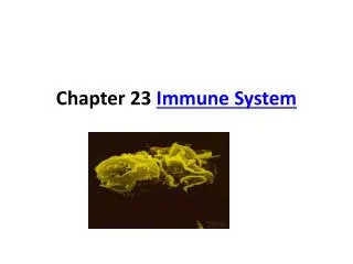 Chapter 23 Immune System