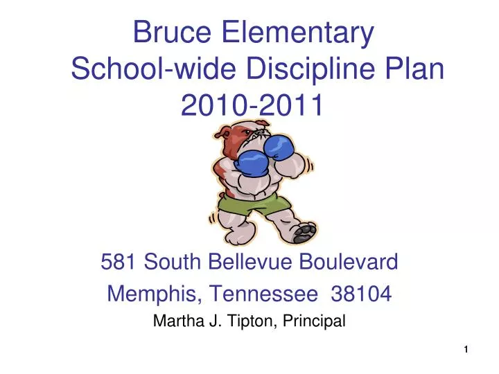 bruce elementary school wide discipline plan 2010 2011
