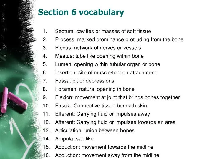 section 6 vocabulary