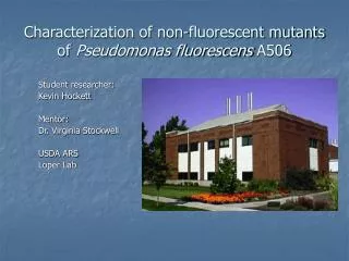 Characterization of non-fluorescent mutants of Pseudomonas fluorescens A506