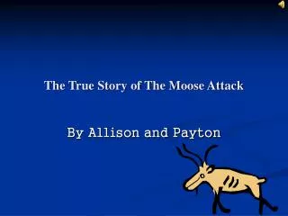The True Story of The Moose Attack