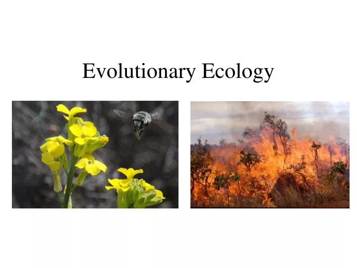 evolutionary ecology