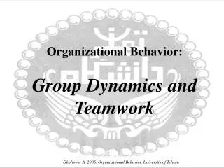 Organizational Behavior: Group Dynamics and Teamwork