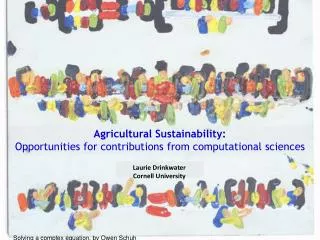 Agricultural Sustainability: Opportunities for contributions from computational sciences