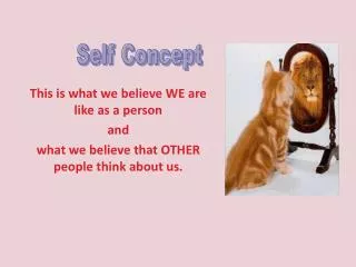 This is what we believe WE are like as a person and what we believe that OTHER people think about us.