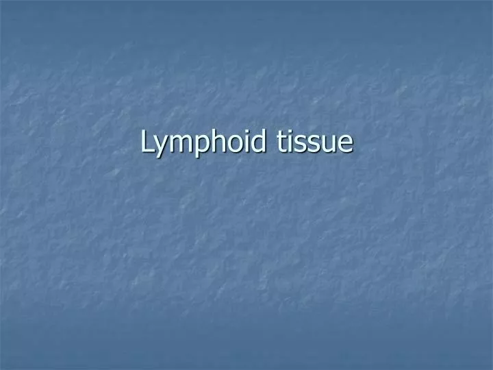 lymphoid tissue