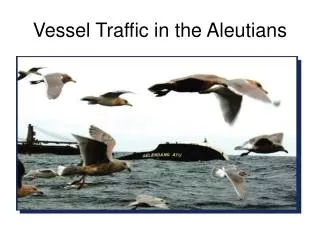 Vessel Traffic in the Aleutians