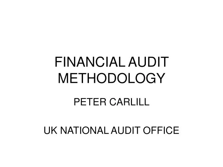 financial audit methodology