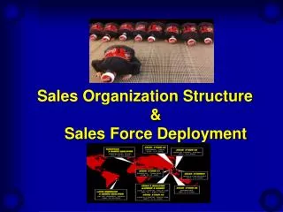 Sales Organization Structure &amp; Sales Force Deployment
