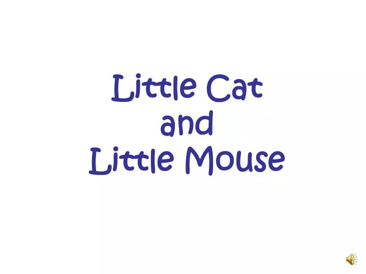 little cat and little mouse