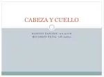 CABEZA Y CUELLO - slide 1