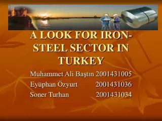 A LOOK FOR IRON-STEEL SECTOR IN TURKEY