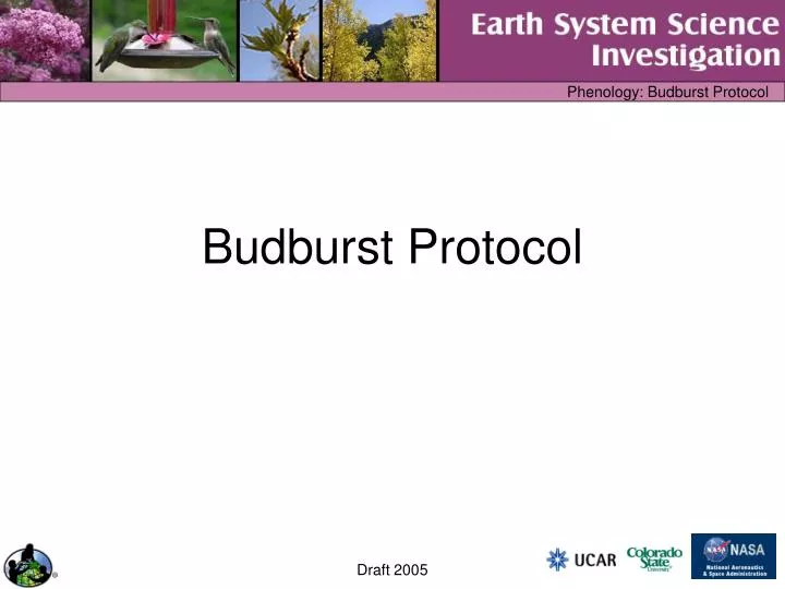 budburst protocol