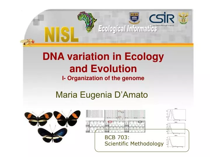 dna variation in ecology and evolution i organization of the genome